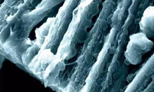 <b>黄片抖音短视频池锂枝晶形成原因,如何发现电池内早期锂枝晶</b>